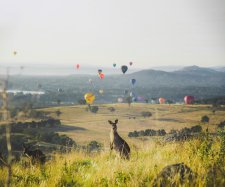 Visit Canberra