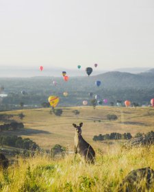 Visit Canberra
