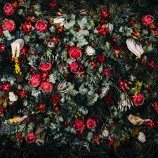 Writing on the Wall, 2019 Dr Christian Thompson AO Writing on the Wall, 2019 Dr Christian Thompson AO