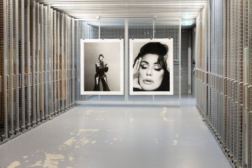 Tina Arena commission behind-the-scenes
