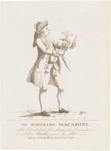 The Simpling Macaroni (Dr Daniel Solander) The Simpling Macaroni (Dr Daniel Solander)