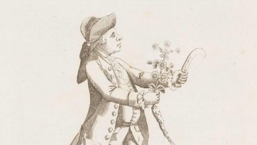 The Simpling Macaroni (Dr Daniel Solander) The Simpling Macaroni (Dr Daniel Solander)