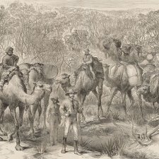 The Australian exploring expedition travelling through scrub (from the Illustrated London News 1879) The Australian exploring expedition travelling through scrub (from the Illustrated London News 1879)
