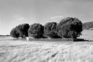 The Healing Garden,
Wybalenna, Flinders Island,
Tasmania, 2005