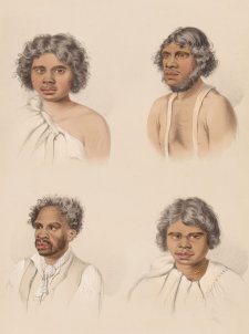 South Australian Illustrated (Plate 35) South Australian Illustrated (Plate 35)