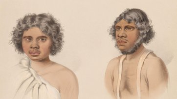 South Australian Illustrated (Plate 35) South Australian Illustrated (Plate 35)