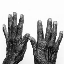 Nyangatja Ngayuku Mara (These are my hands), 2023 Rhett Hammerton Nyangatja Ngayuku Mara (These are my hands), 2023 Rhett Hammerton