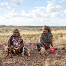 Yanyangkari Roma Butler and Yangi Yangi Fox from Irrunyju (Wingellina), Western Australia, 2017 Rhett Hammerton Yanyangkari Roma Butler and Yangi Yangi Fox from Irrunyju (Wingellina), Western Australia, 2017 Rhett Hammerton