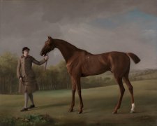 Lustre, held by a Groom, ca. 1762 by George Stubbs Lustre, held by a Groom, ca. 1762 by George Stubbs