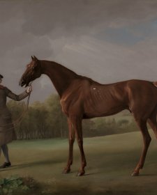 Lustre, held by a Groom, ca. 1762 by George Stubbs Lustre, held by a Groom, ca. 1762 by George Stubbs