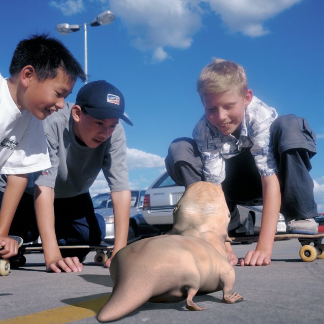 Social Studies (from &lsquo;The SO2 series&rsquo;), 2000