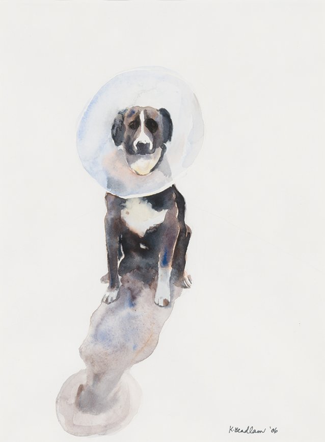 Elizabethan Collar, 2006 by Kristin Headlam
Courtesy the artist and Charles Nodrum Gallery