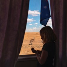 Bella in the window of her home school, 2019 Agi Davis Bella in the window of her home school, 2019 Agi Davis
