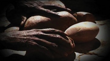 David Mowaljarlai AO, Ngarinyin Elder
