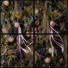 The Shortest Day (Flower Wall)